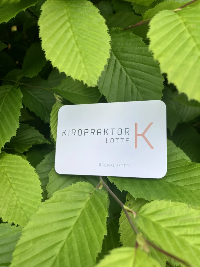 Klinikmiljø hos ny kiropraktor i Løgumkloster — Kiropraktor Lotte K