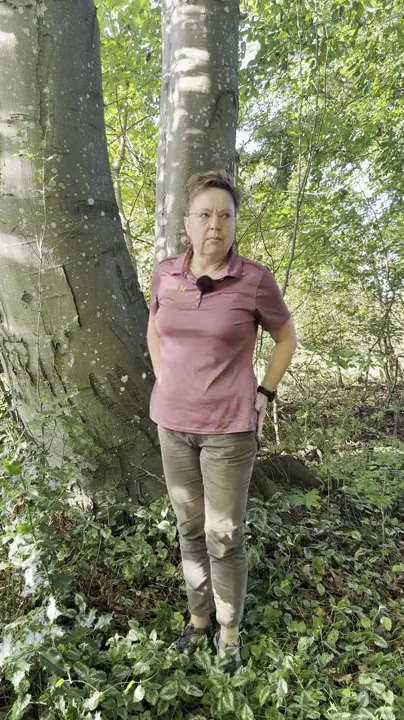 Hofteøvelse til bilturen